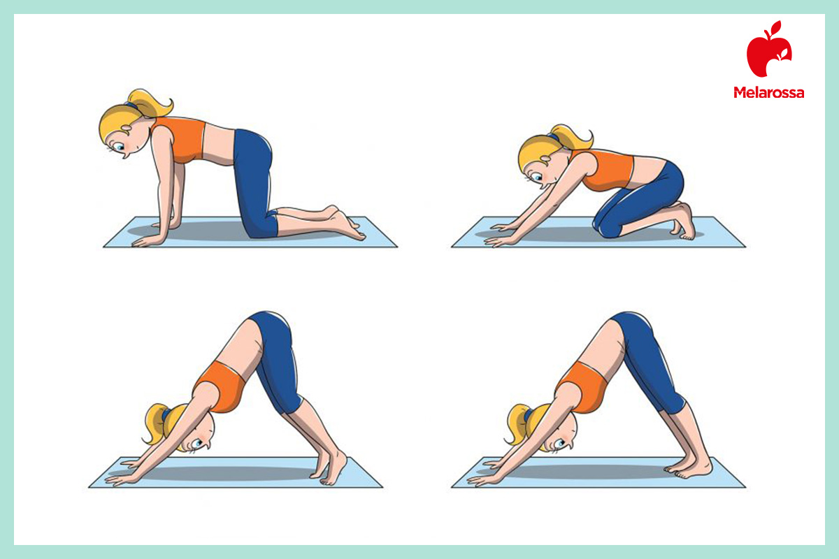 Posizioni yoga: gli Asana più importanti per principianti, intermedi e avanzati 13 Illustrazione posizioni yoga cane a testa in giù adho mukha svanasana con corpo a V rovesciata e mani e piedi a terra.