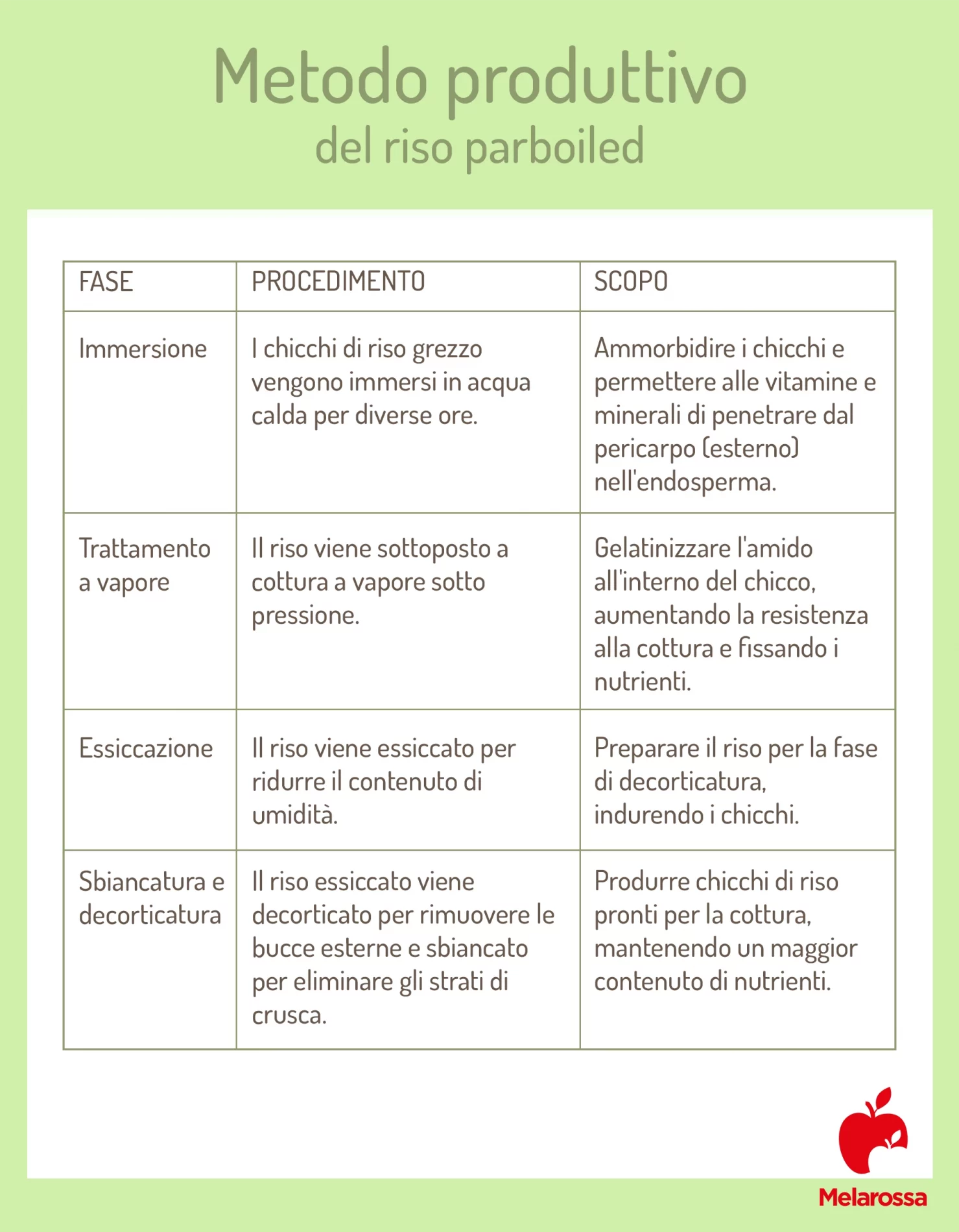 Riso parboiled: benefici nutrizionali, come cuocerlo e usi in cucina 4 Grafica del metodo produttivo del riso parboiled