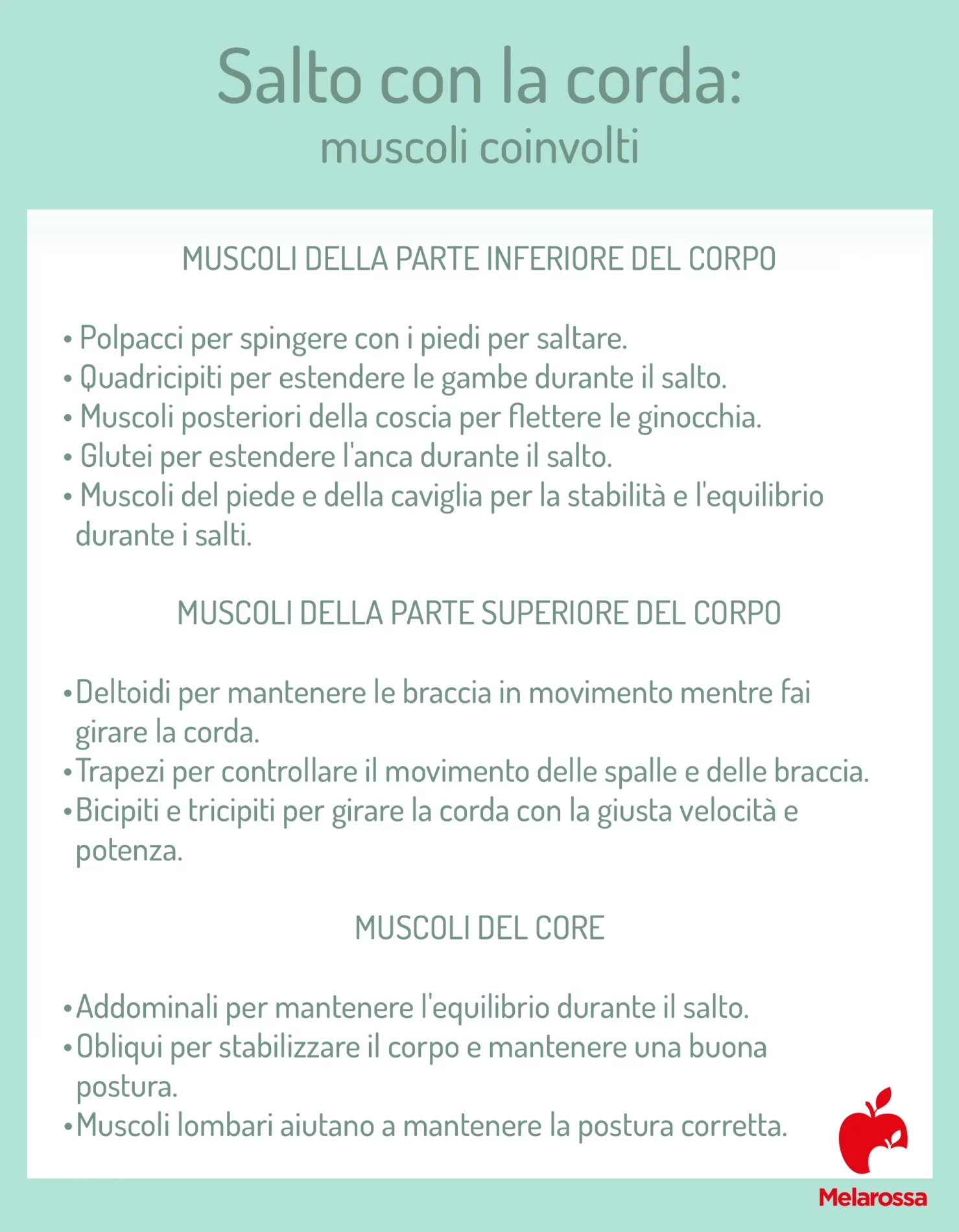 Salto con la corda: benefici, come allenarsi, muscoli coinvolti e programmi di allenamento 2 salto con la corda muscoli coinvolti