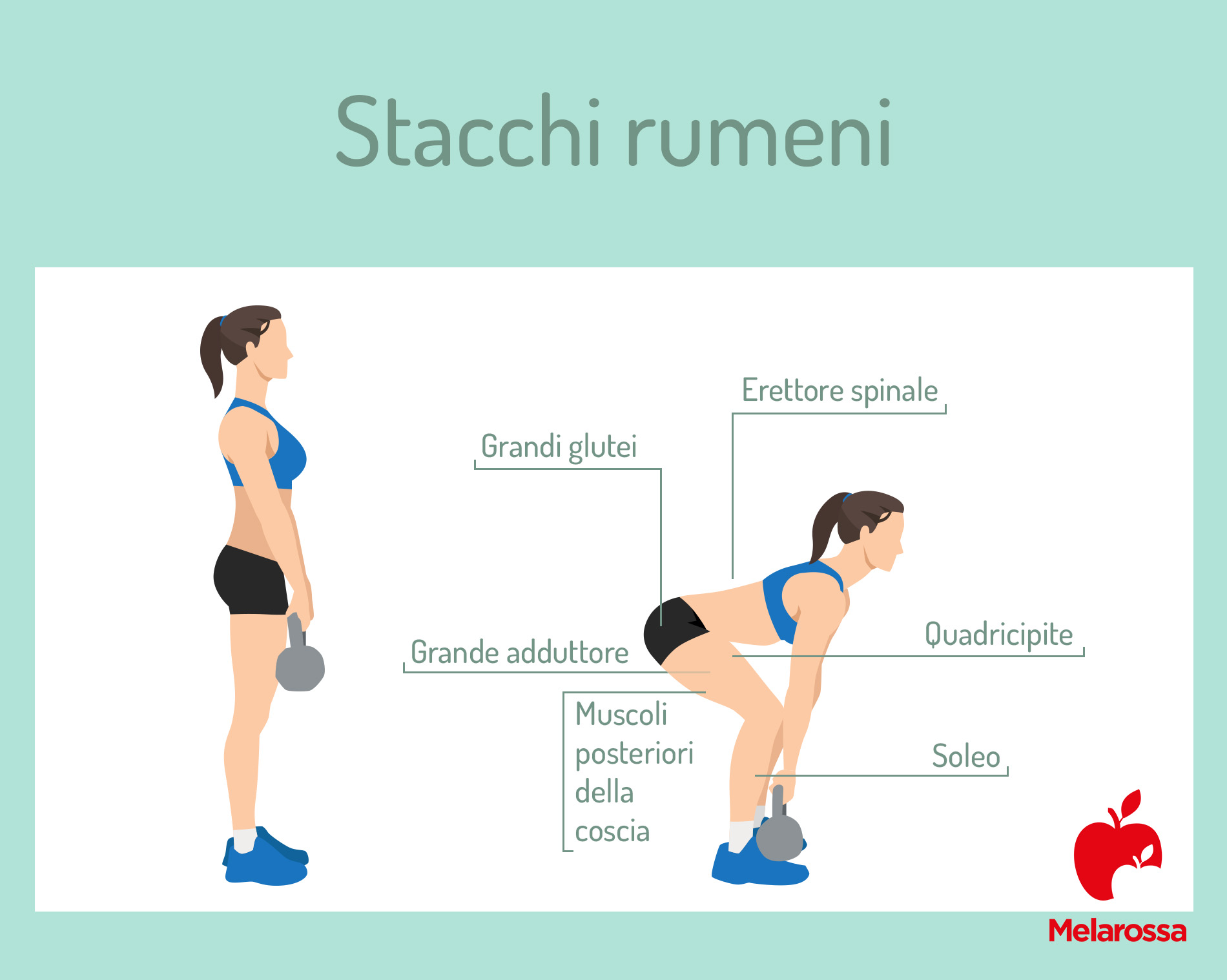 Ischiocrurali: come allenarli e allungarli per gambe forti e flessibili 2 stacchi rumeni esercizi ischiocrurali