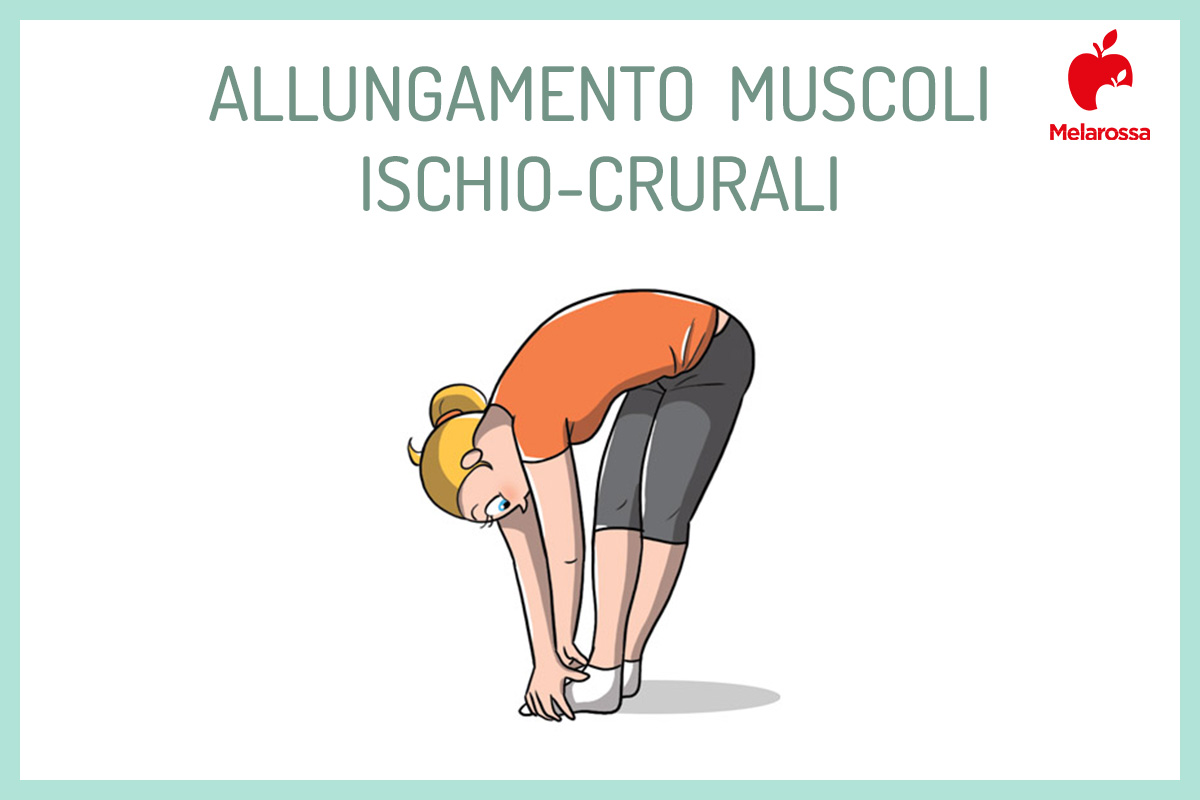 Ischiocrurali: come allenarli e allungarli per gambe forti e flessibili 5 illustrazione con una donna che esegue stretching per allungare i muscoli ischiocrurali
