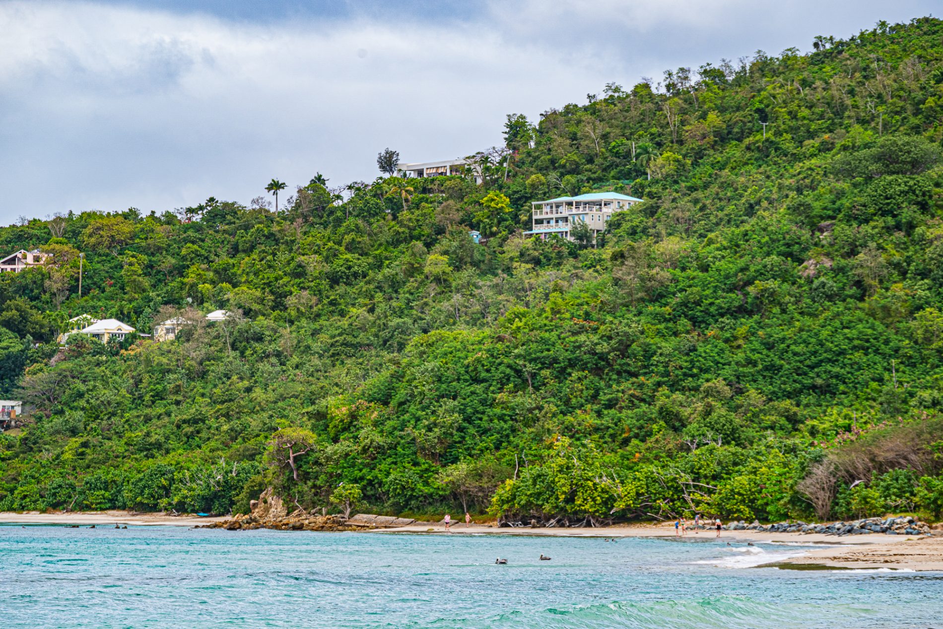 Alla scoperta dell'isola di Tortola e un assaggio della Repubblica Dominicana 2 DSC 6423