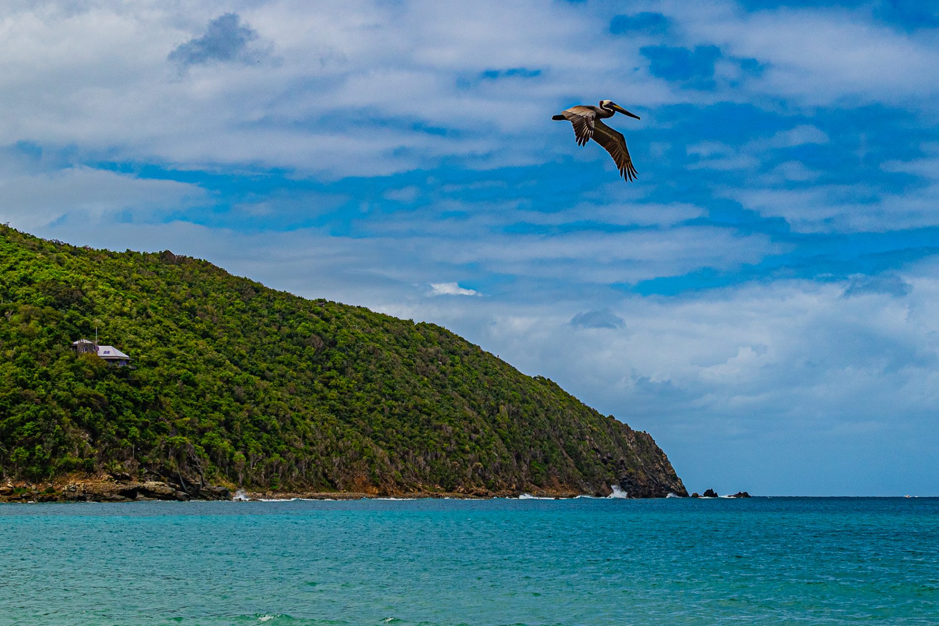 Alla scoperta dell'isola di Tortola e un assaggio della Repubblica Dominicana 3 DSC 6424