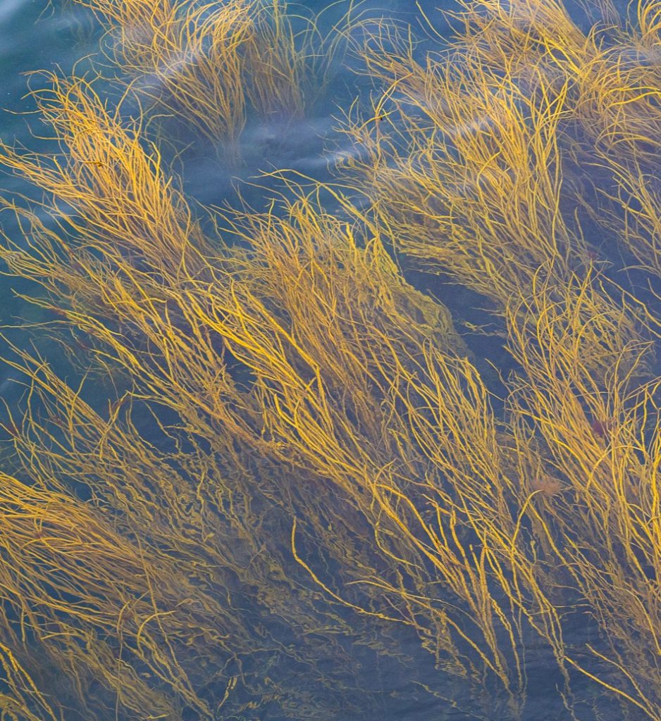Alla scoperta dell'Ile de Sein 4 1