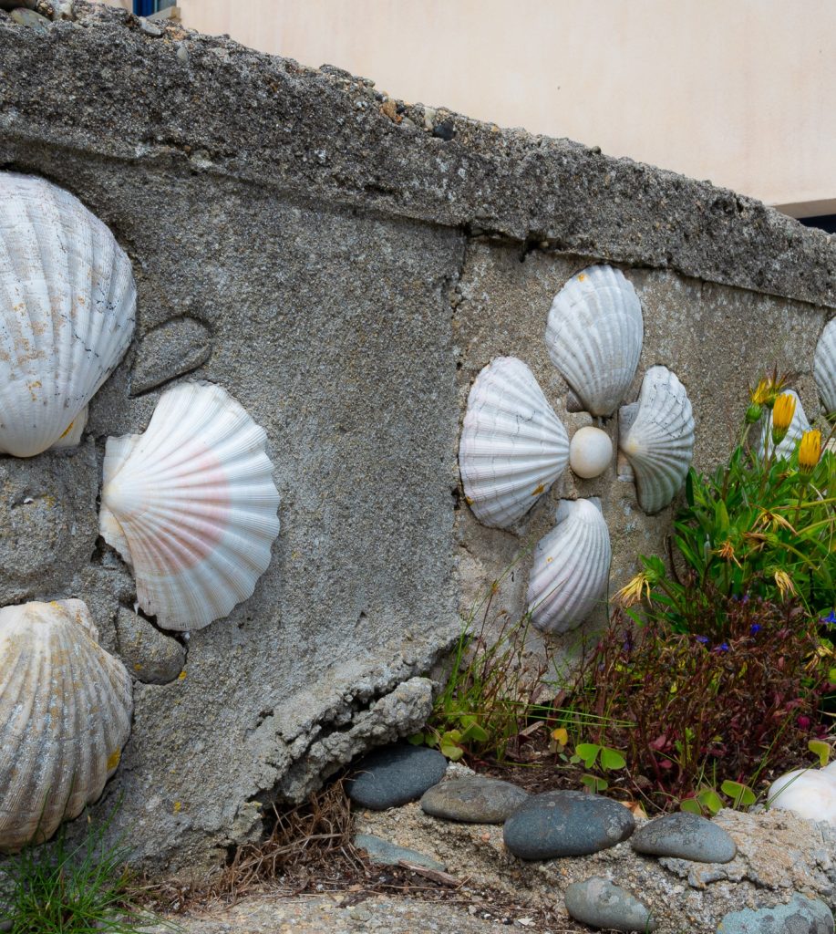 Alla scoperta dell'Ile de Sein 7 15