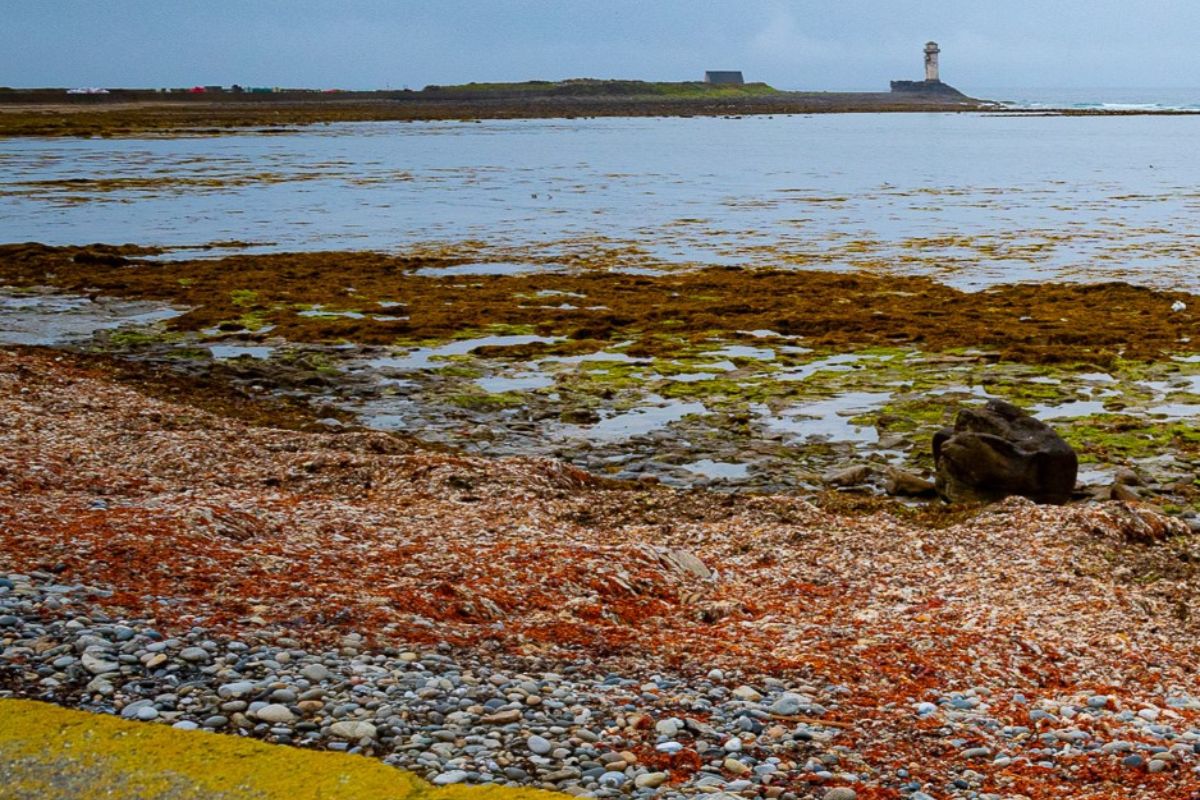 Alla scoperta dell'Ile de Sein 1 bretagna ile de france