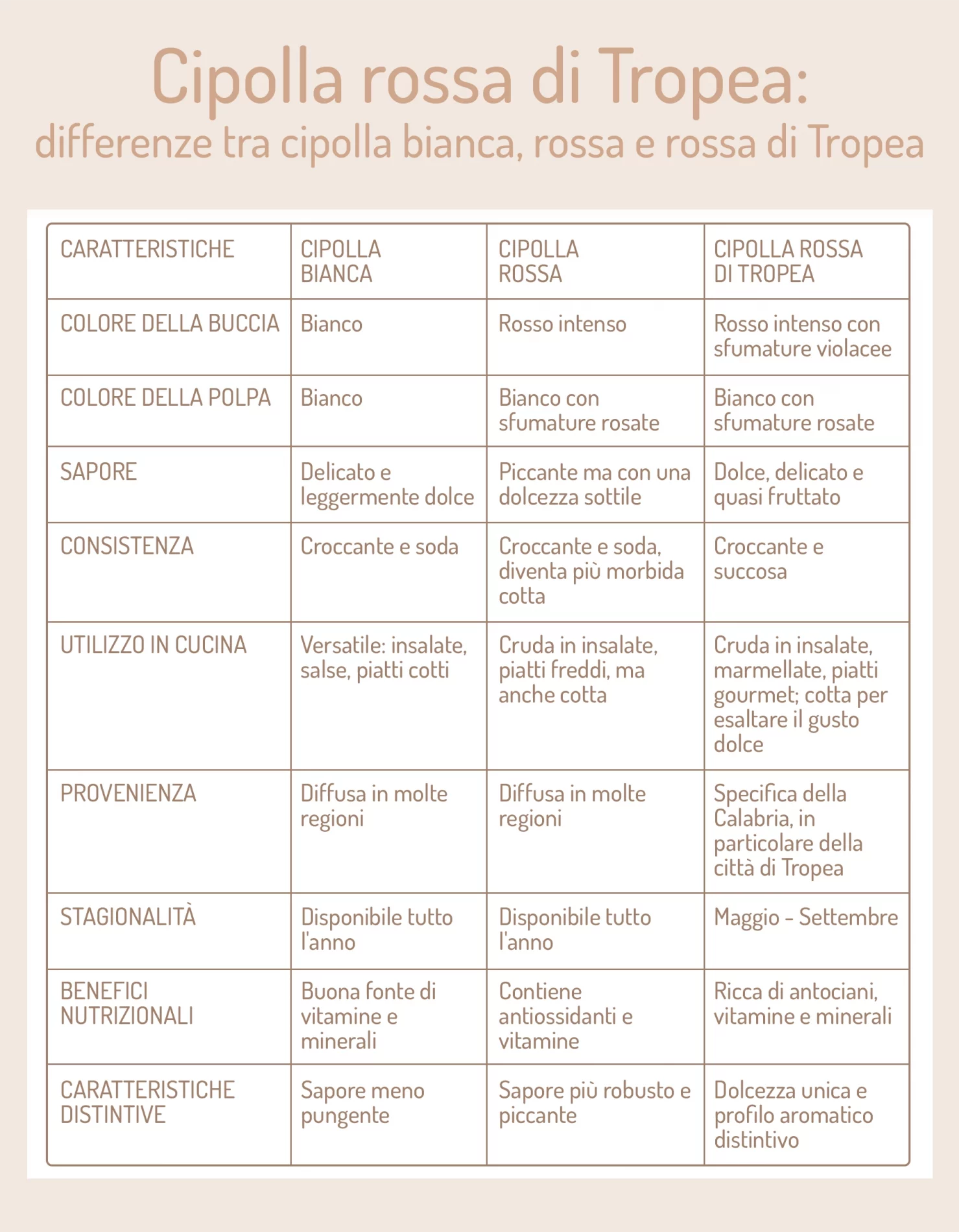 Cipolla di Tropea: varietà, benefici e le migliori ricette 1 tabella grafica che spiega le differenze tra cipolla rossa e la cipolla di Tropea?