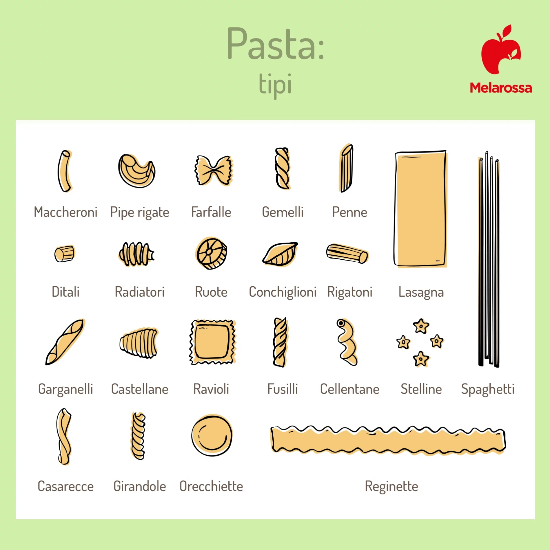 Tipi di pasta: tipologie, usi in cucina e ricette 1 Una grafica con i diversi tipi di pasta