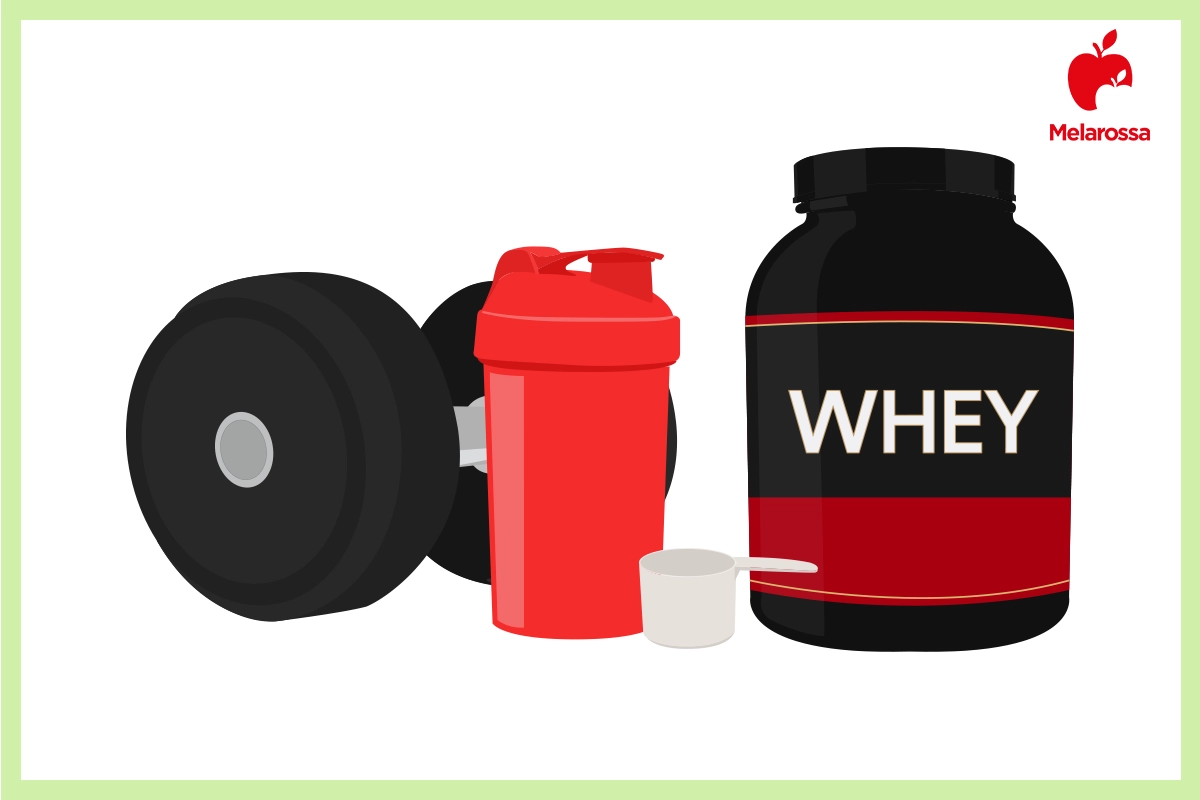 Proteine in polvere: cosa sono, tipologie, che cosa contengono, usi e benefici 1 illustrazione con proteine in polvere whey , il dosatore e i pesi della palestra e a destra il logo melarossa