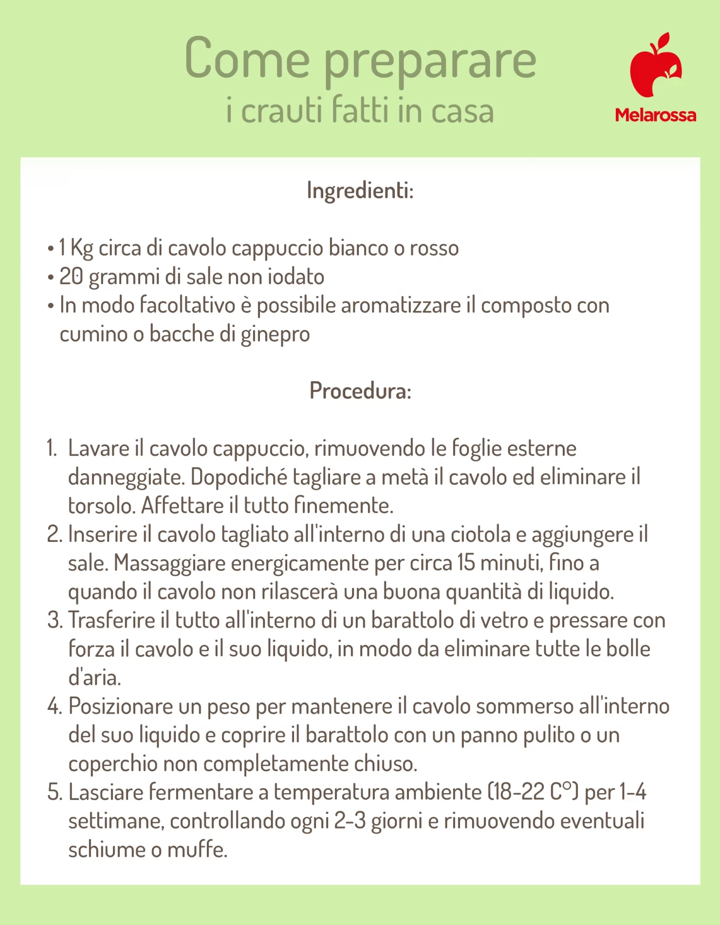Crauti: benefici, come prepararli in casa, ricette 2 grafica con la ricetta passo passo dei crauti fatti in casa: ingredienti e procedura