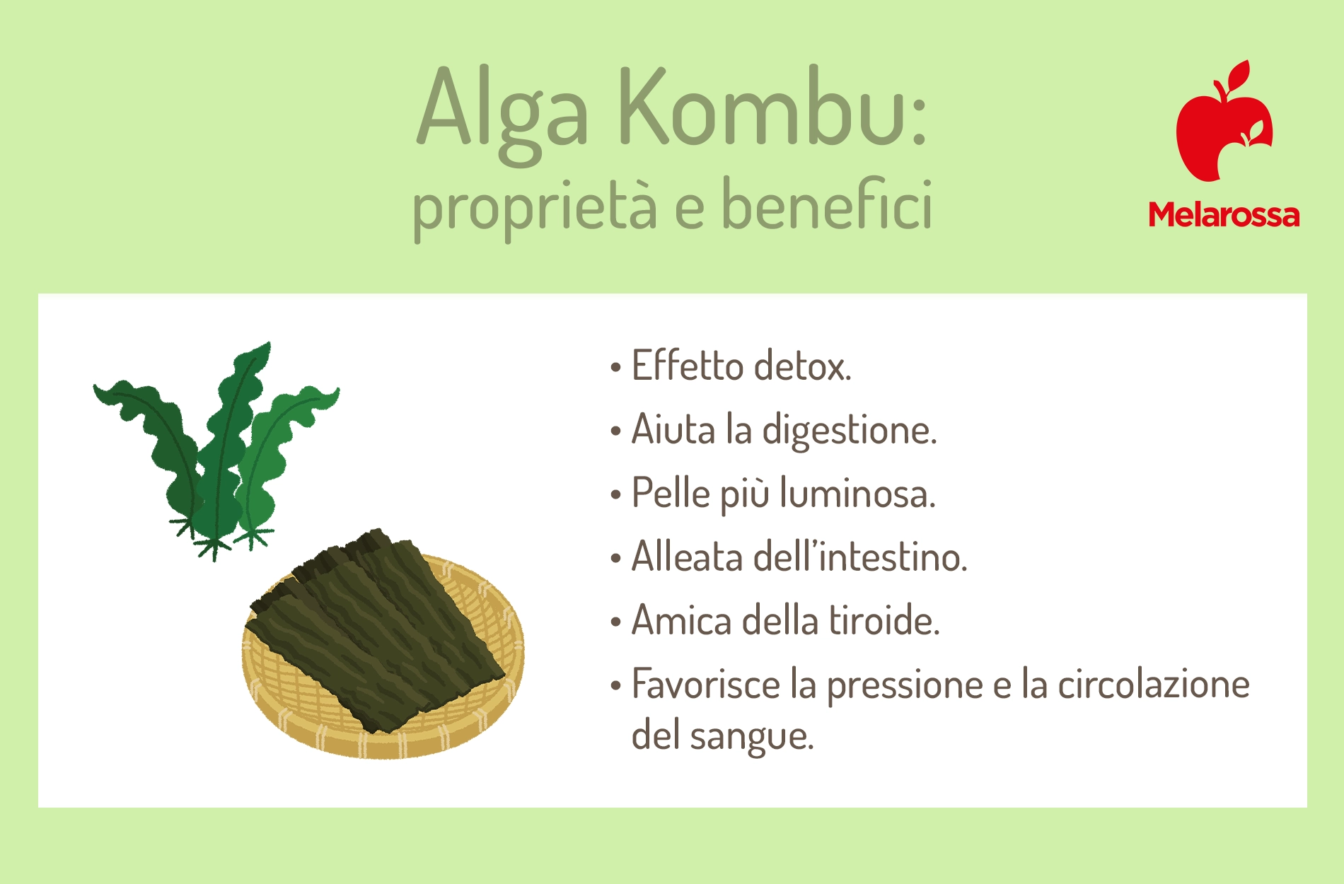 Alga kombu: proprietà, come si usa e controindicazioni 1 grafica su proprietà e benefici dell'alga kombu