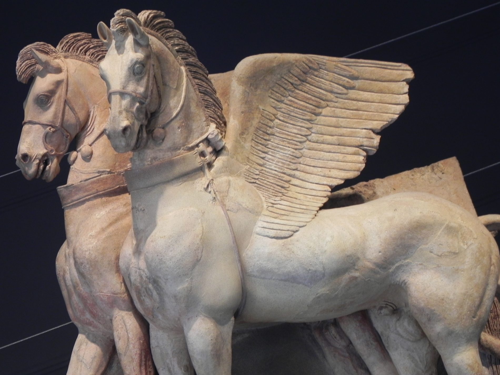 Alla scoperta di Tarquinia, scrigno etrusco nell'alto Lazio 2 cavalli alati al museo archeologico di Tarquinia