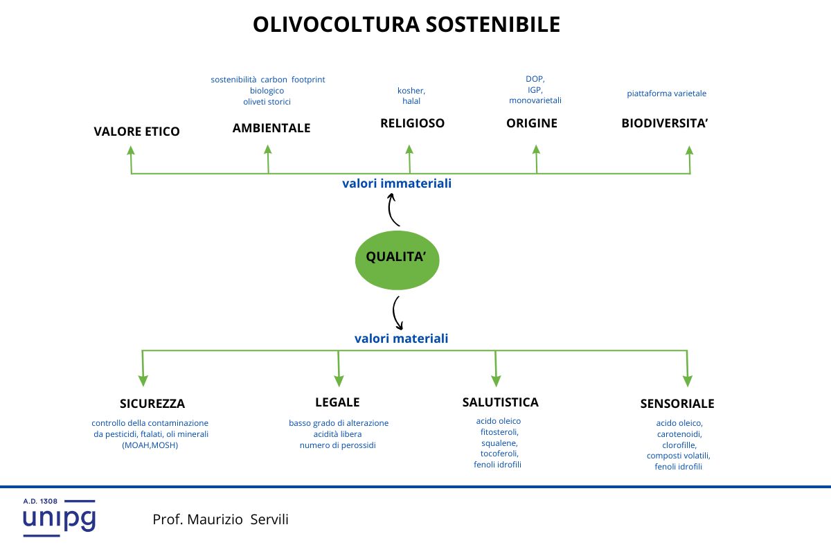 Unaprol: il Consorzio Olivicolo Italiano per un'olivocoltura sostenibile 1 schema olivocoltura sostenibile jpeg