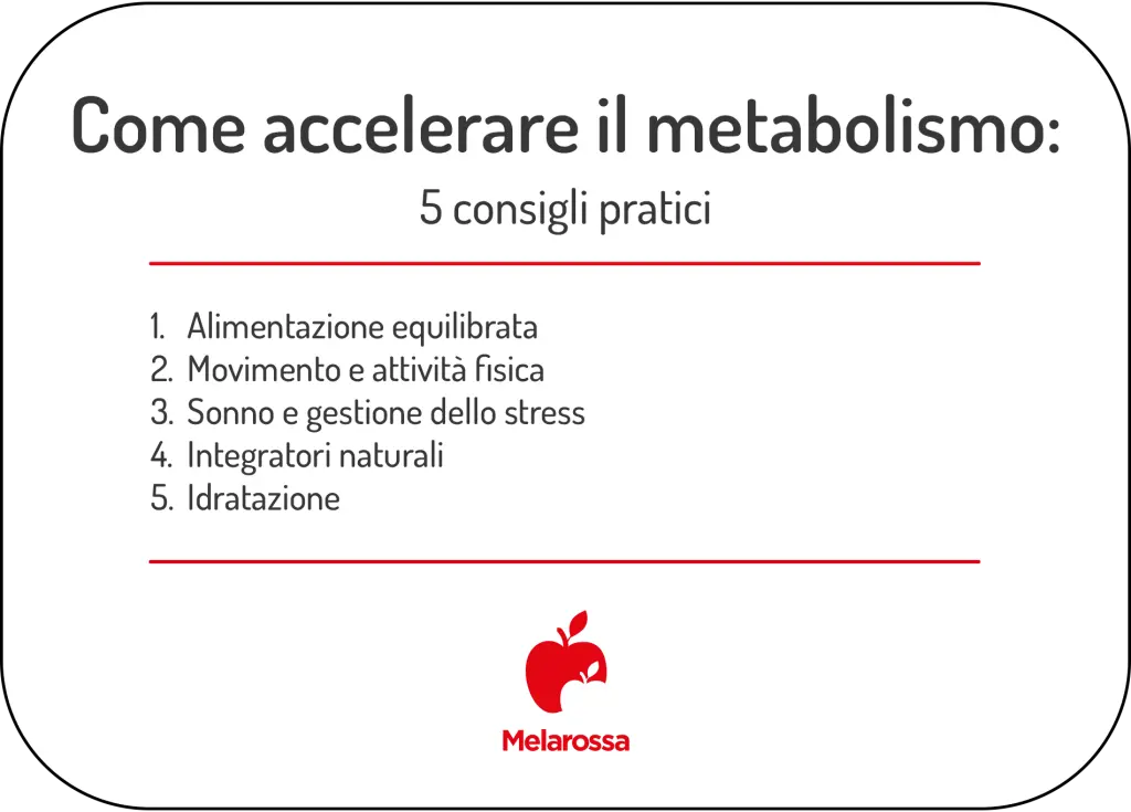 Come accelerare il metabolismo? 5 consigli pratici per dimagrire 1 grafica su come accelerare il metabolismo