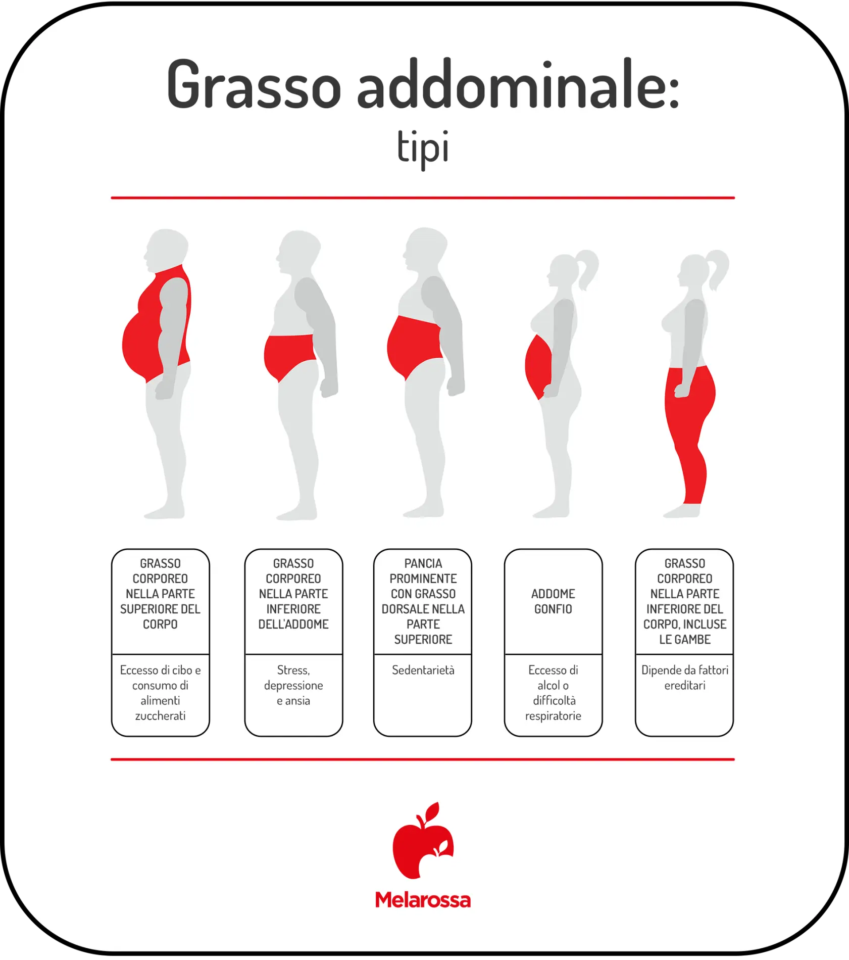 Grasso addominale: perché si accumula e come eliminarlo davvero 1 Infografica sul grasso addominale con cinque sagome che mostrano i diversi tipi di accumulo del grasso su addome, parte superiore e inferiore del corpo.