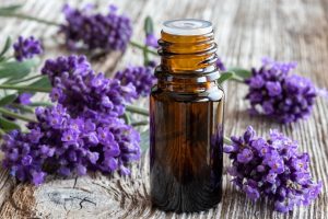 Olio essenziale di lavanda: a cosa serve, propriet&agrave;, usi e benefici per la pelle e il corpo