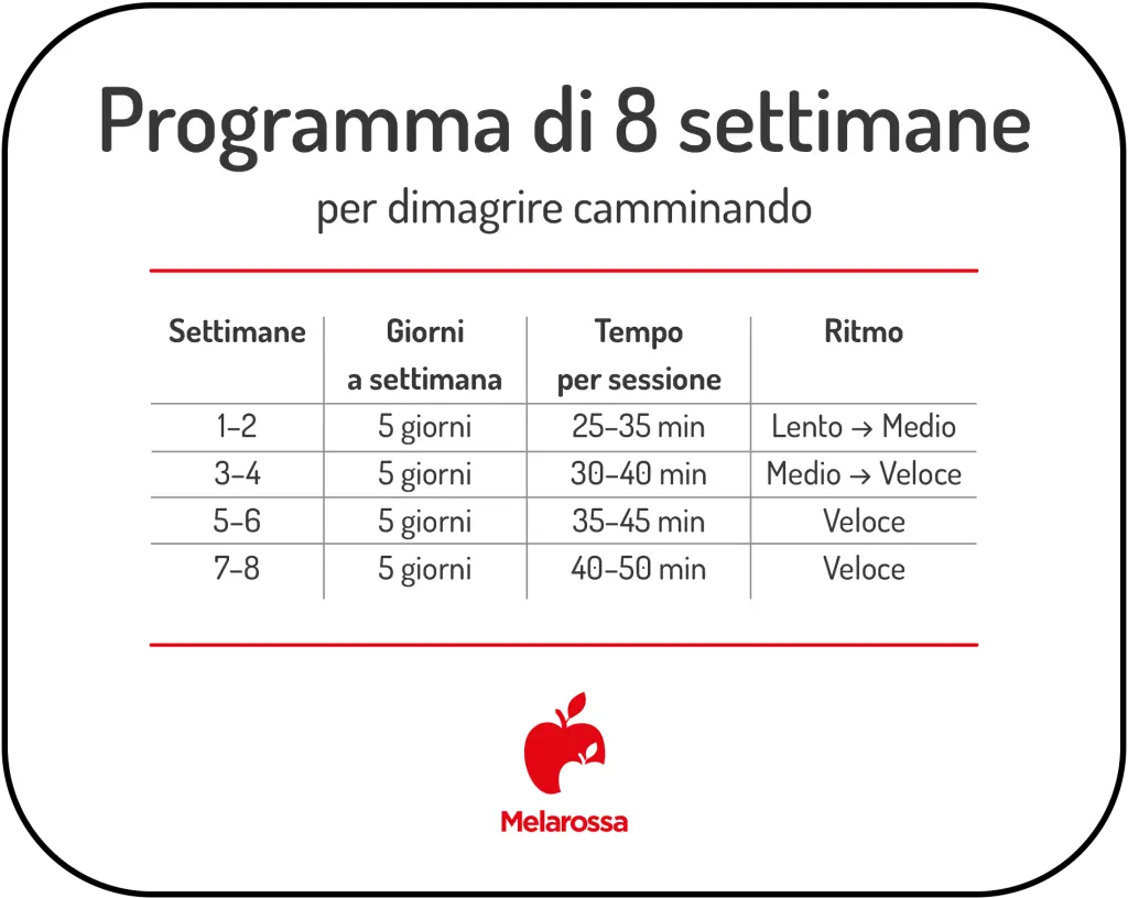 Dimagrire camminando: quanto si perde e quanto tempo, esempio di scheda di allenamento 1 programma 8 settimane per dimagrire camminando