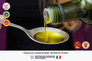 Acidi grassi dell&rsquo;olio EVO: quali sono, a cosa servono e perch&eacute; fanno bene