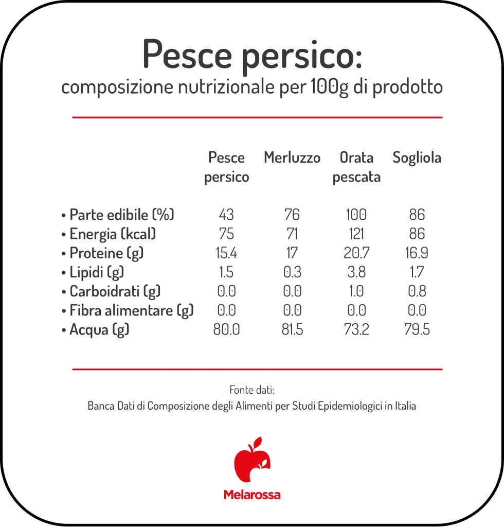 Pesce persico: valori nutrizionali, benefici, ricette e come cucinarlo in modo sano 2 pesce persico calorie vitamine webp