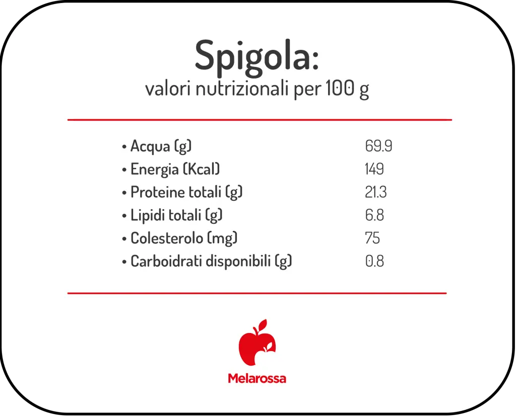 Spigola: il pesce leggero e versatile che piace a tutti 1 grafica sui valori nutrizionali della spigola